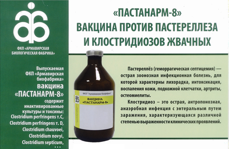 «ПАСТАНАРМ-8» вакцина против пастереллеза и клостридиозов жвачных
