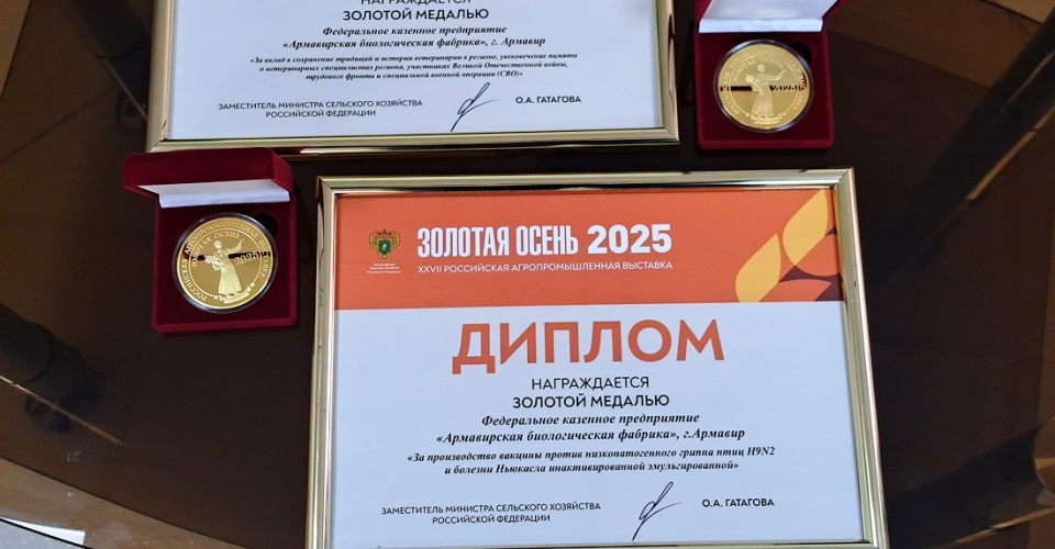 Награды от Золотой осени-2025